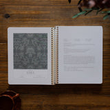 A Year in the Bible | Volume 2