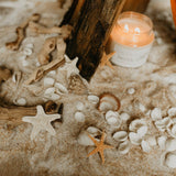 Beachside Bonfire Soy Candle