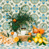 Citrus Coast Soy Candle