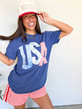 USA Picnic