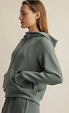 Comfy Luxe Quarter Zip Hoodie, Sage Leaf (1x, 3x)